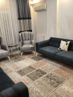 asimo-koltuk-doseme 24